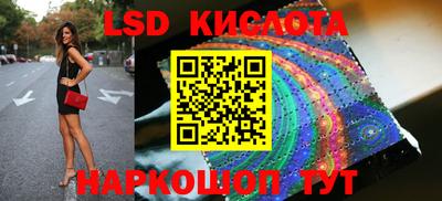 стаф Дубна