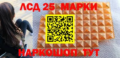 стаф Дубна
