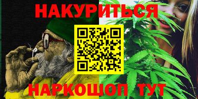 стаф Дубна