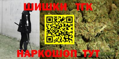 стаф Дубна