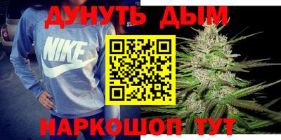 стаф Дубна
