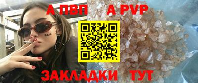 стаф Дубна